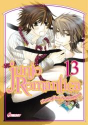 Junjo romantica manga volume 13 simple 72256